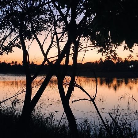 فيلا Pe Na Areia Itacimirim Camaçari المظهر الخارجي الصورة